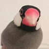 mi