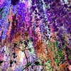えいみー
