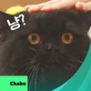 ちゃこ