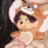 ぽんこぴん
