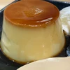 初心者ゴリラ