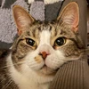 ゆきち
