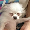 さちを