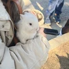あお