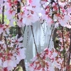 のぞみ