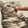 つなのまる