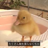 管理