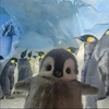 ふたりごと