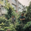 ひす