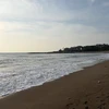 たかくは