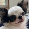 実里