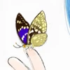 チップ