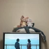 はな