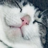 ちゃちゃ三郎