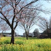 り