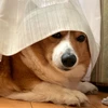 あつ