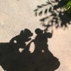 すしたべれない