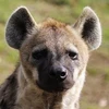 KERO