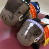 のあ