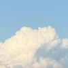 hatsumi