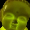 きゃんきゃん