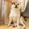 れい