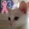 いくのしん