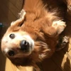 あばばばば