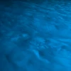 blue_happiness