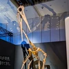 事務員