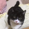 natsu
