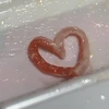ねぎ
