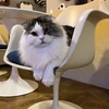 もっちー