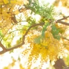 り