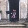 gizojs