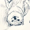 ののみ