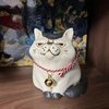 金堂キツネ