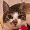 まーふ