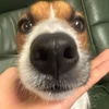 じゃむ