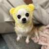 テテしか勝たん