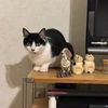 ニシヤマヤスシ