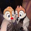 ハナチャン