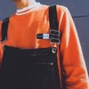 Risa