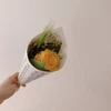 りほ