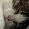 bite__me