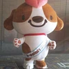 石井康一