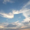 きよたろ
