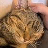 まる