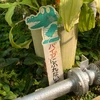 鼻からパイナポーを食うおばさん