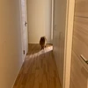 さっこ
